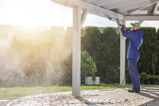 Best Roof Washing  in Mauston, WI