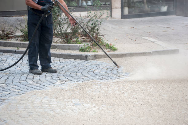 Best Sidewalk and Walkway Cleaning  in Mauston, WI